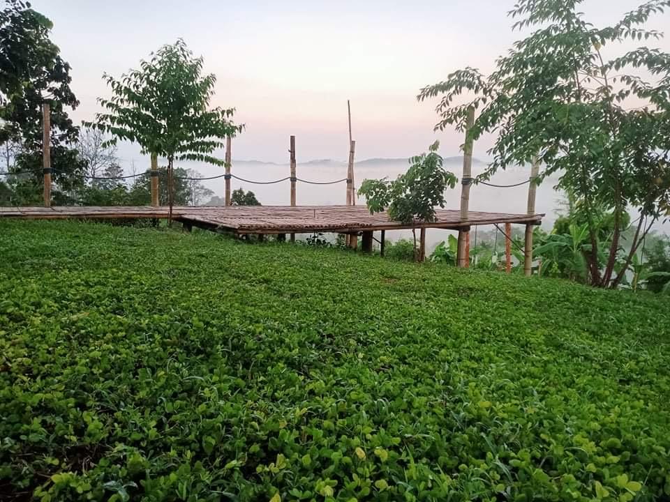 Cover Image for บ้านไร่เสือโคร่ง