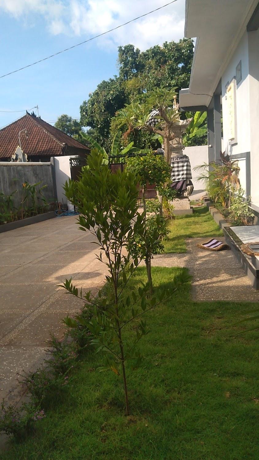 Cover Image for Penginapan Tenang Lovina