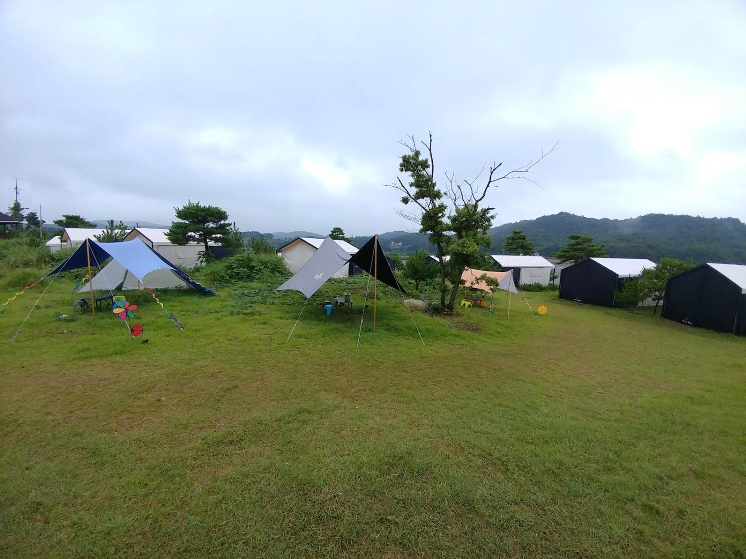Cover Image for 노을빛바다정원