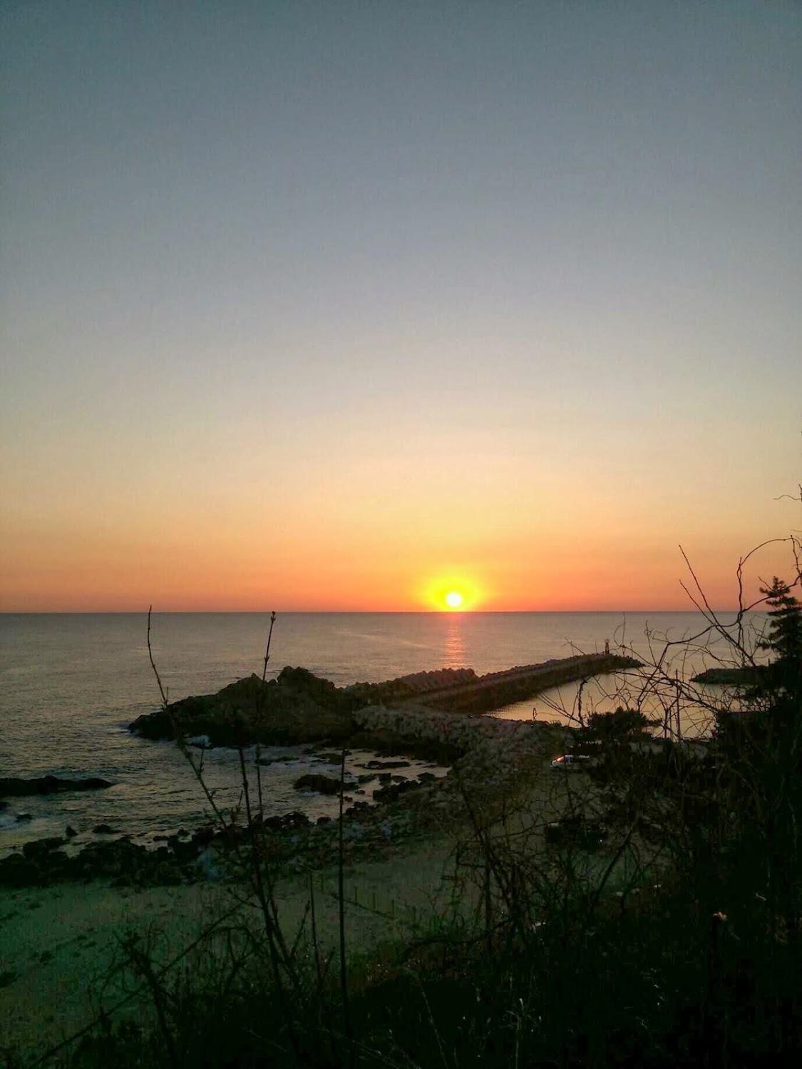 Cover Image for 시드니일반호텔