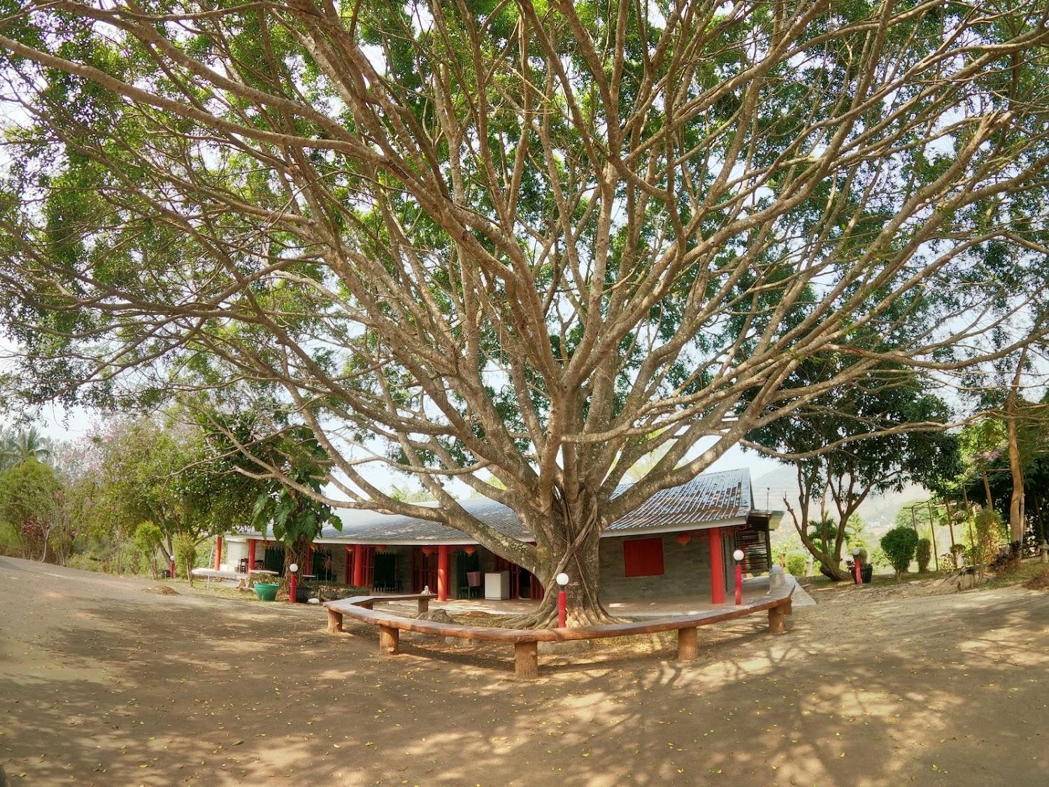 Cover Image for เดอะ เนเชอรัล เยิร์ท รีสอร์ท