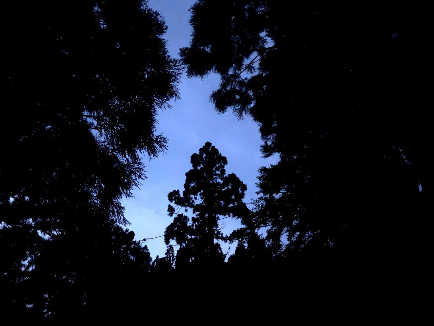 Cover Image for Kareizawa Camping Ground