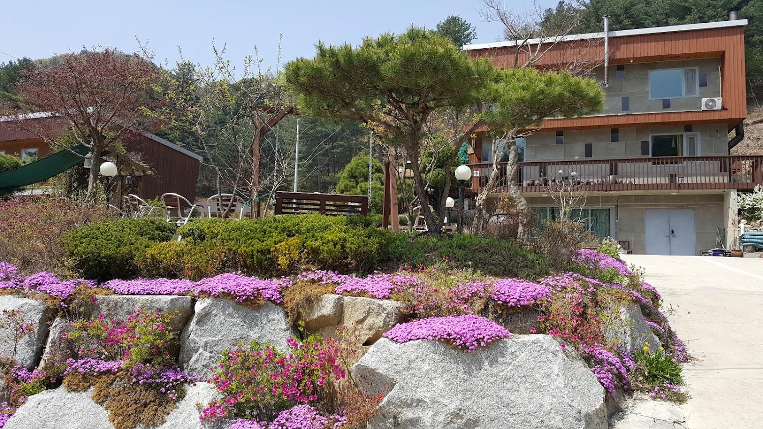 Cover Image for 더해밀펜션