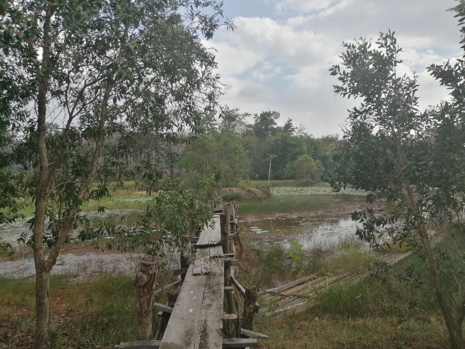 Cover Image for Wichai's Jungle Homestay