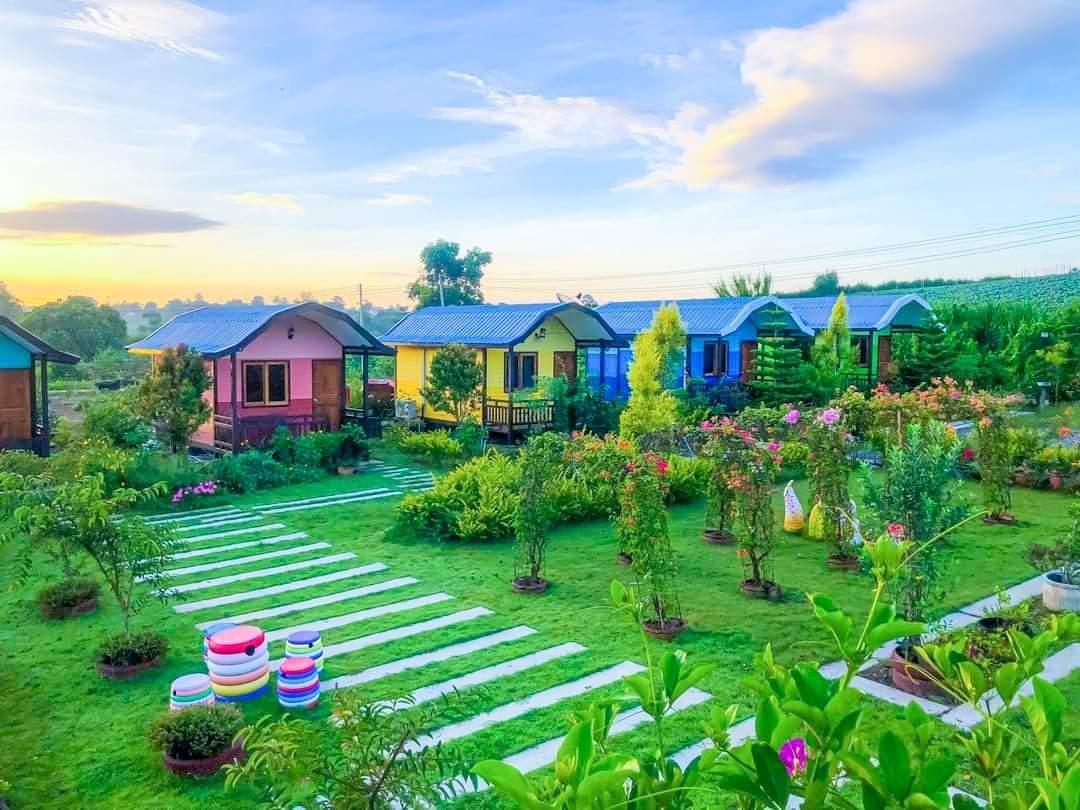 Cover Image for The Memorize Resort