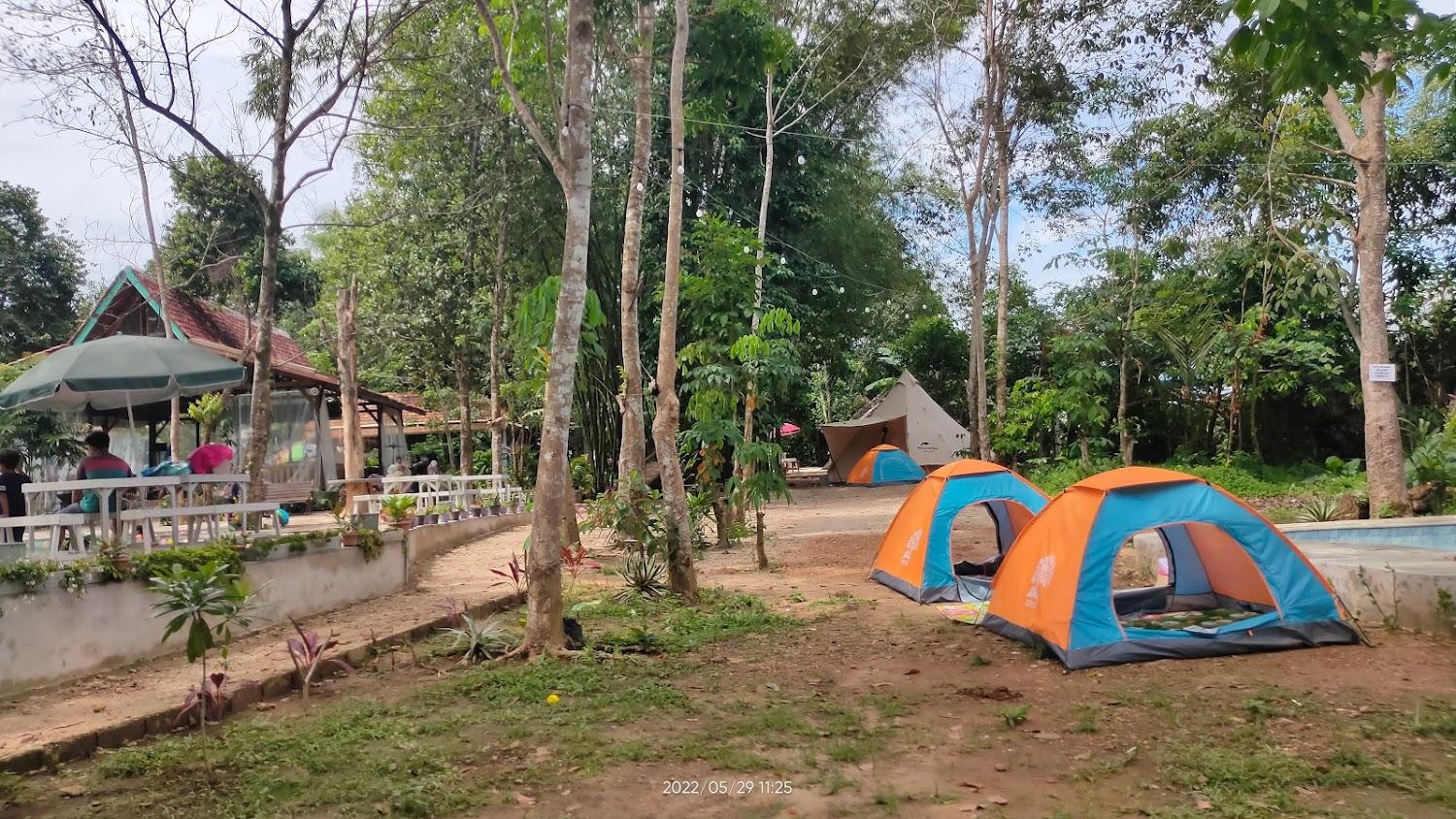 Cover Image for Bangkal Forest