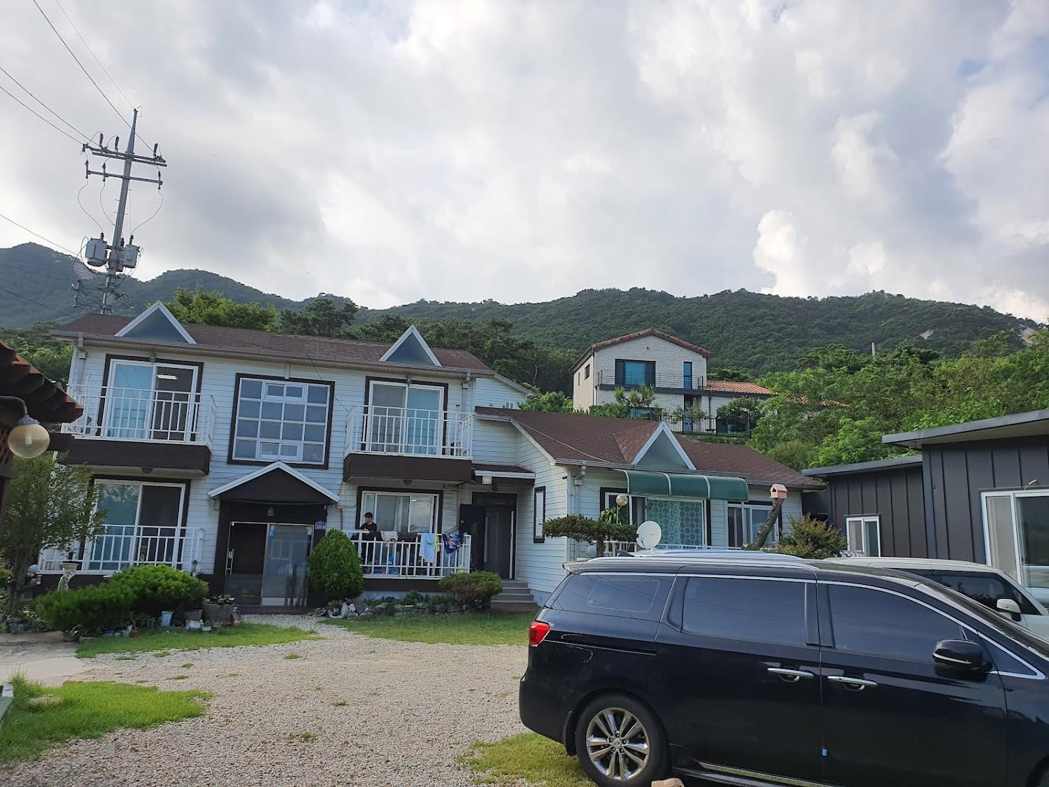 Cover Image for 플라워펜션타운