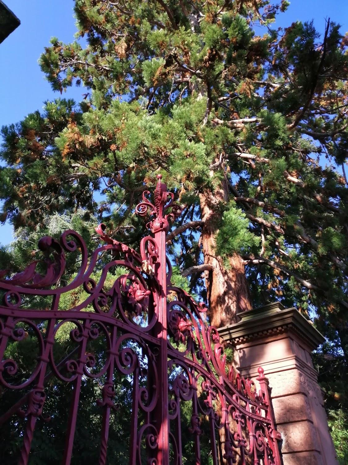 Cover Image for Appartementhaus Am Kurpark