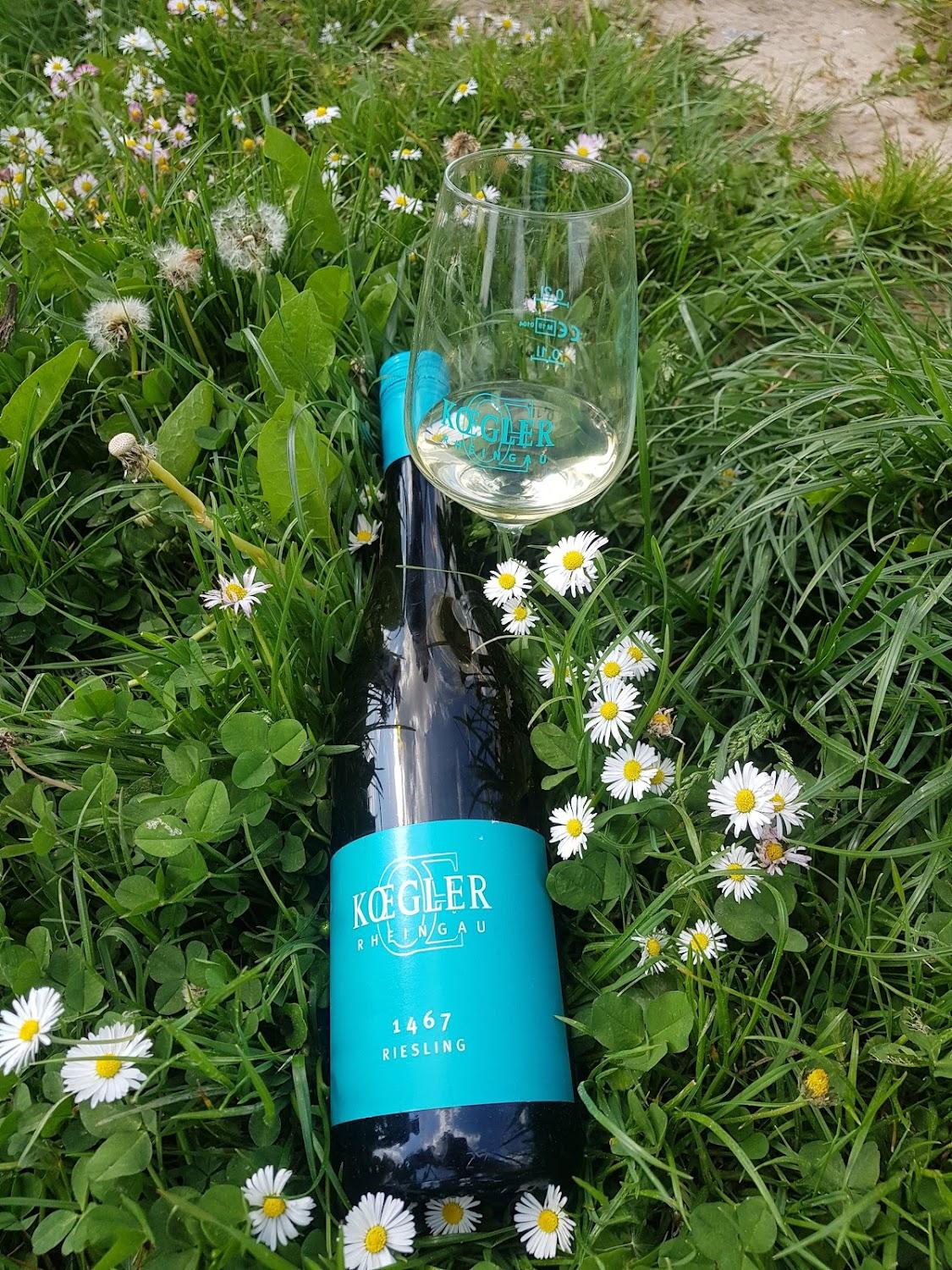 Cover Image for Weingut J. Koegler / Hof Bechtermünz