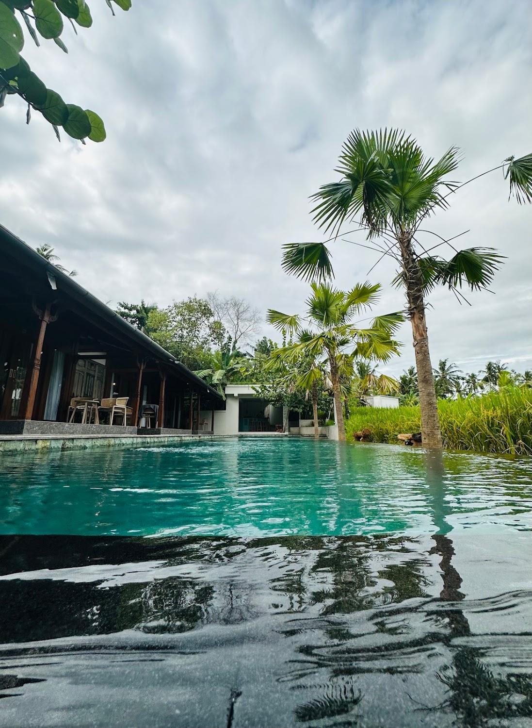 Cover Image for Nayaka living ubud