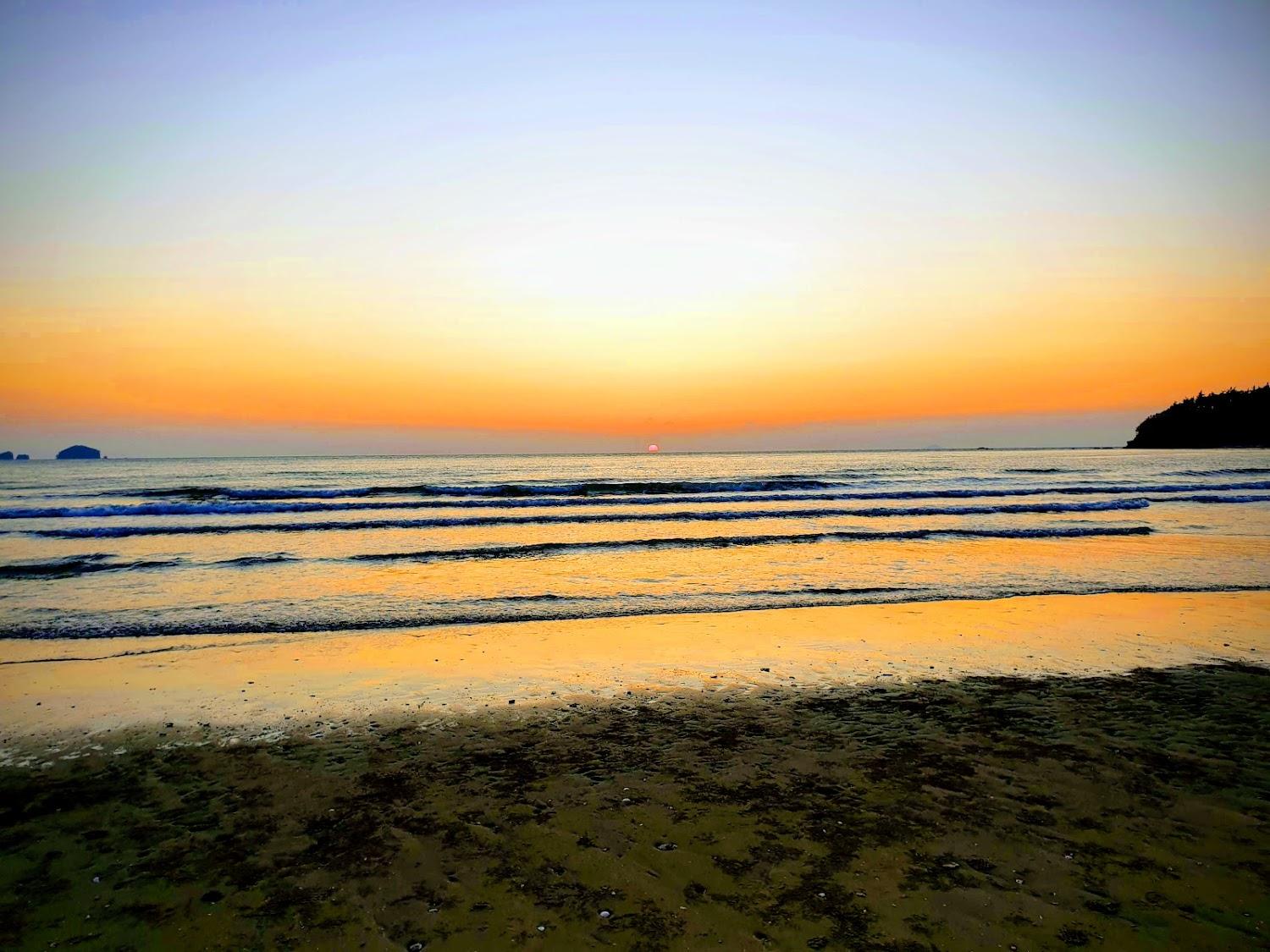 Cover Image for 한마음펜션캠핑장