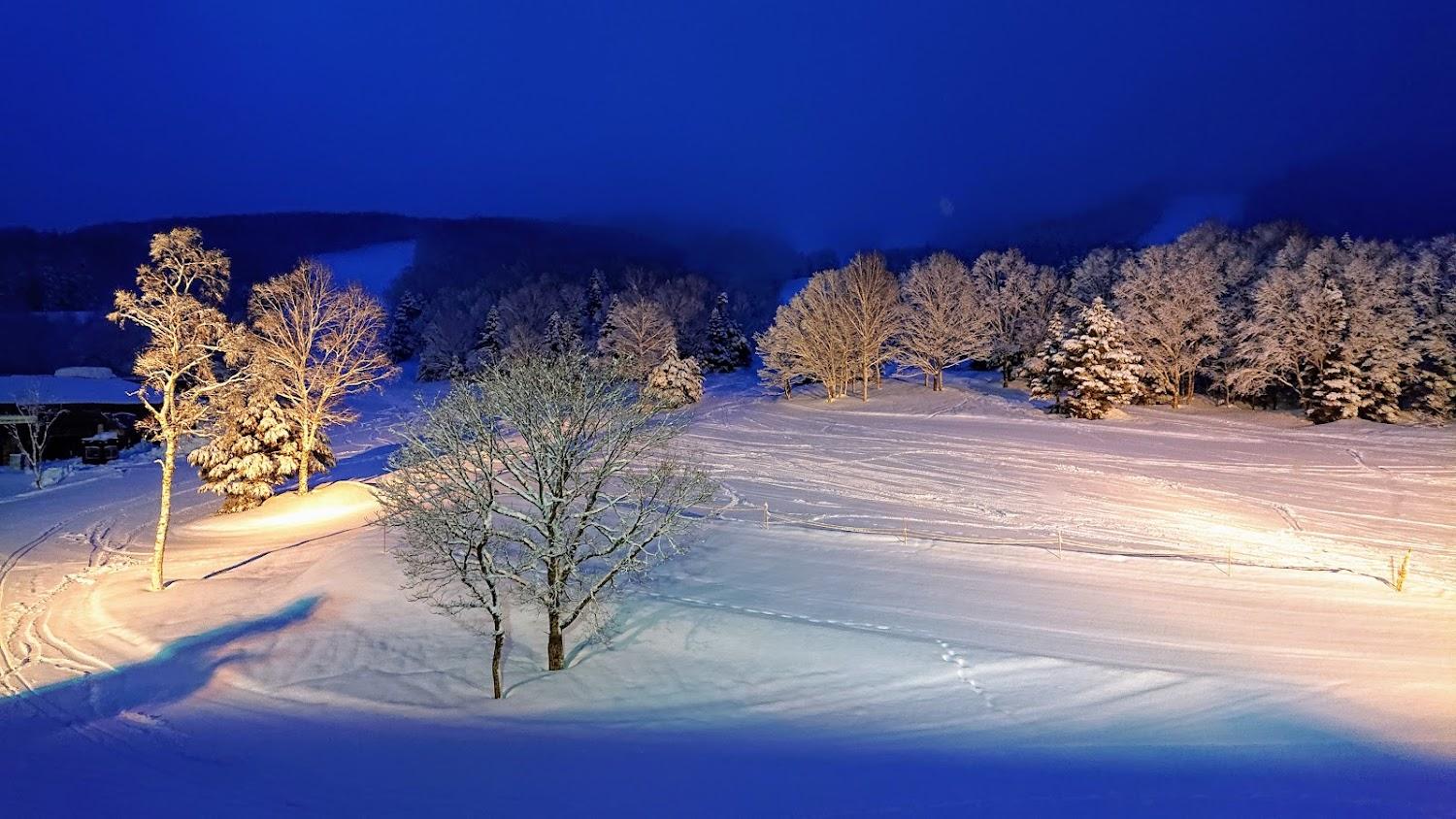 Cover Image for Shiga Kogen Prince Hotel East Wing