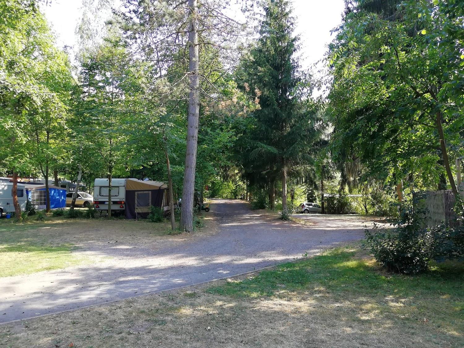 Cover Image for KNAUS Campingpark Walkenried