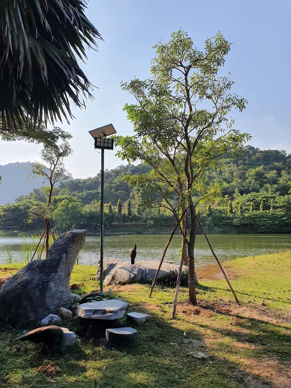 Cover Image for บึงปรีดา เลคแอนด์ฮิลล์ รีสอร์ท Bueng Preeda Lake and Hill Resort