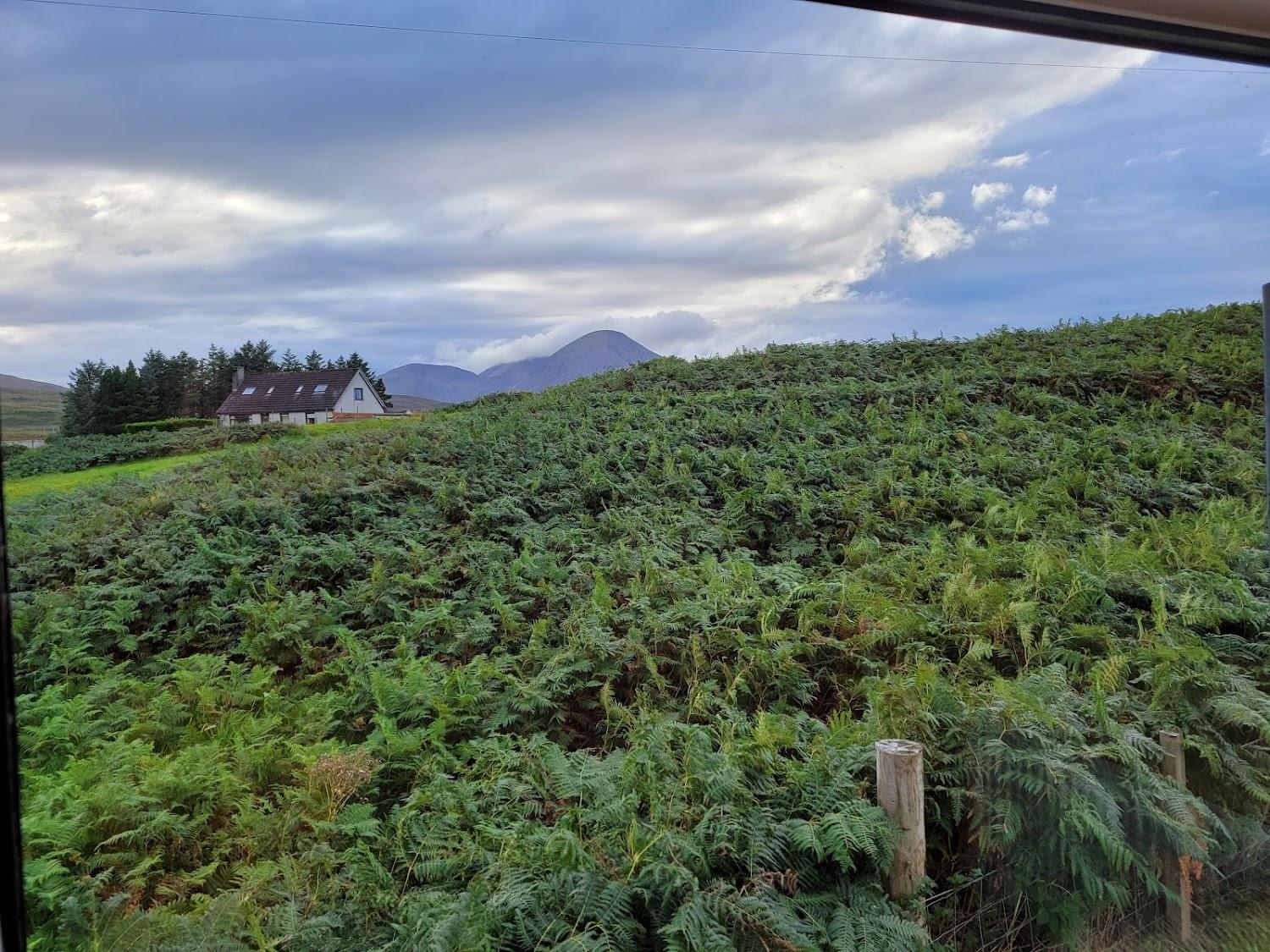 Cover Image for Rowan Tree Cottage