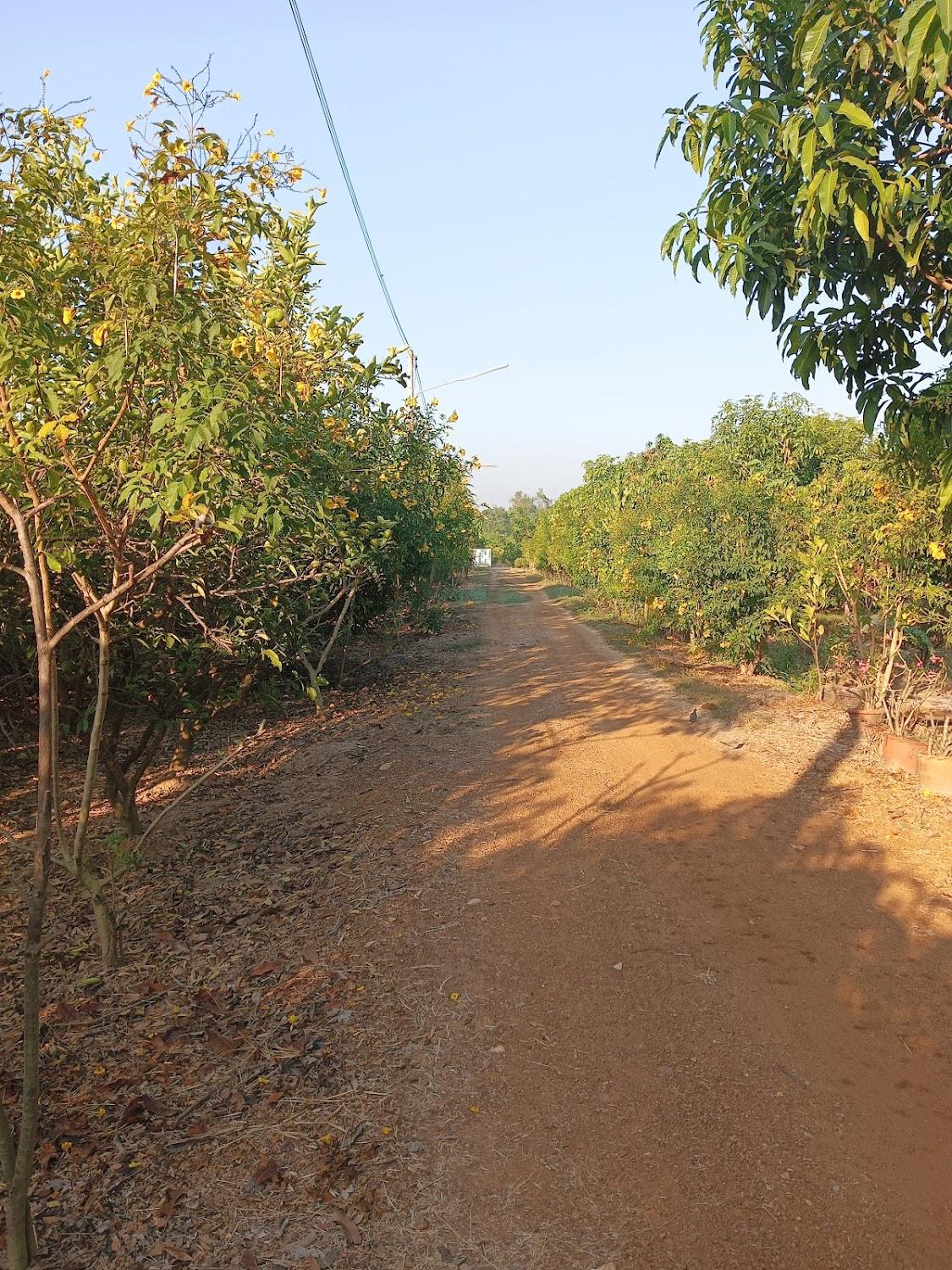 Cover Image for พัชรวดี รีสอร์ท (ครูแขก)