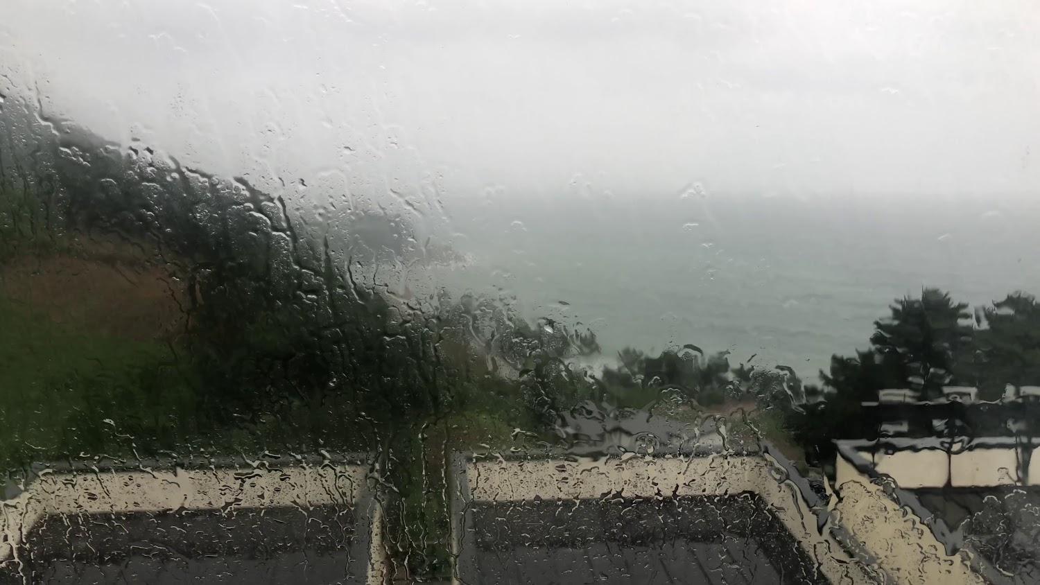 Cover Image for 캐비넷펜션