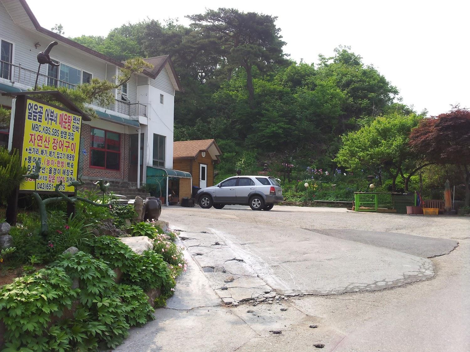 Cover Image for 얼음골가든