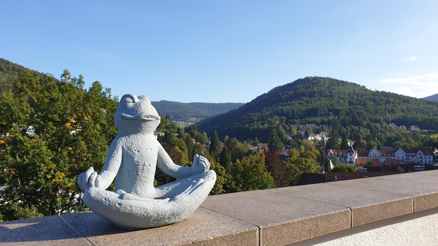 Cover Image for SCHWARZWALD PANORAMA