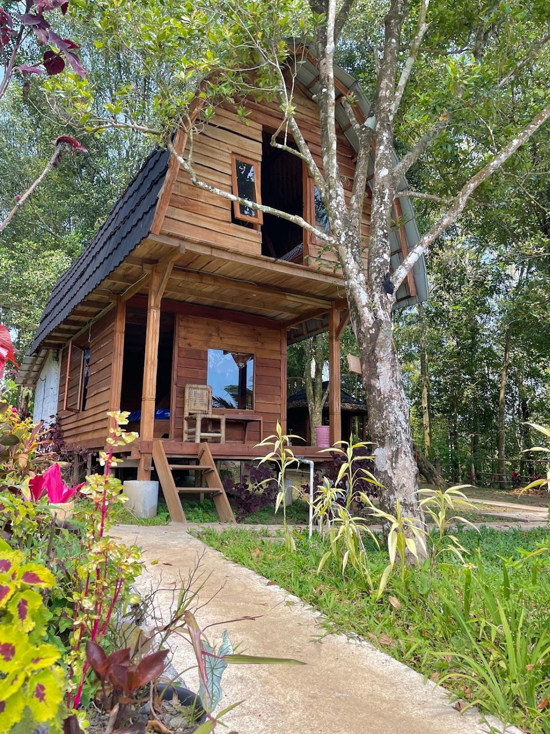 Cover Image for Jungle Vibes Bungalows