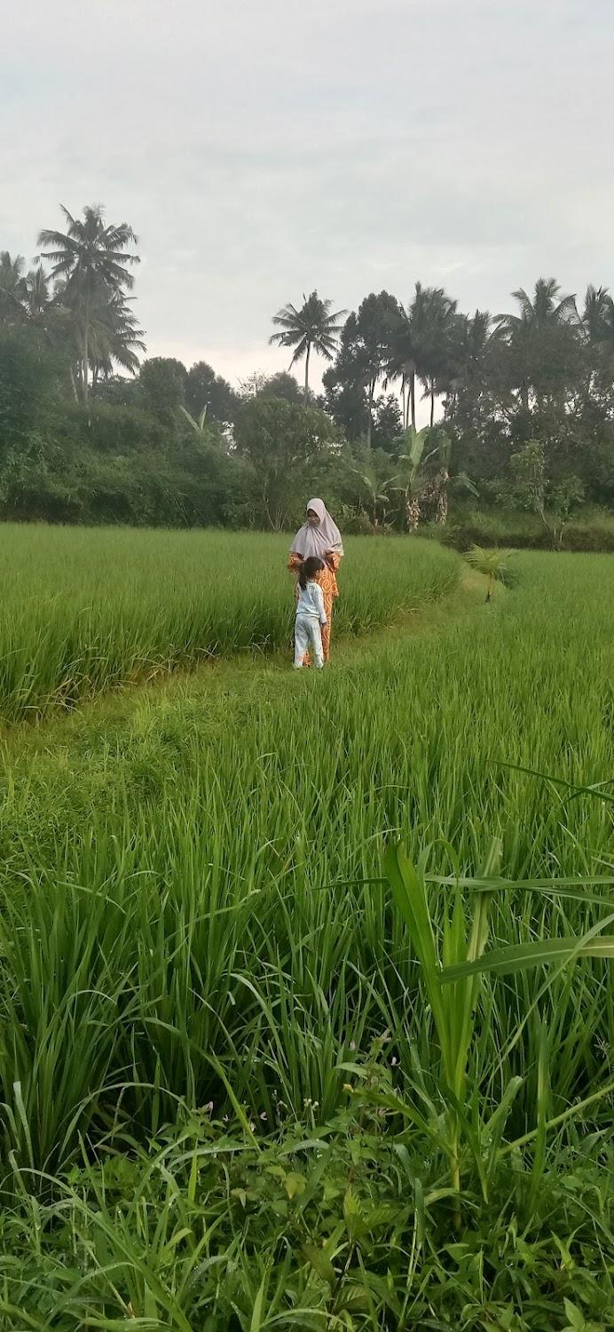 Cover Image for Homestay Dalimo 2 Syariah RedPartner