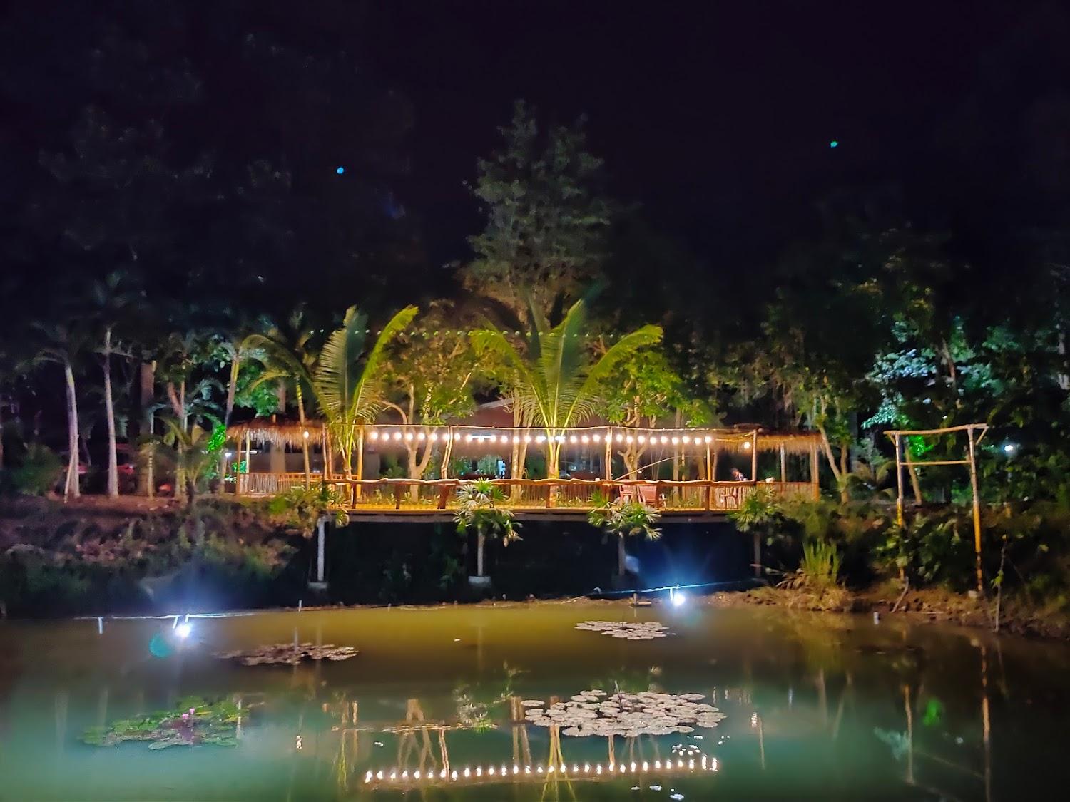 Cover Image for บ้านธรรมชาติ