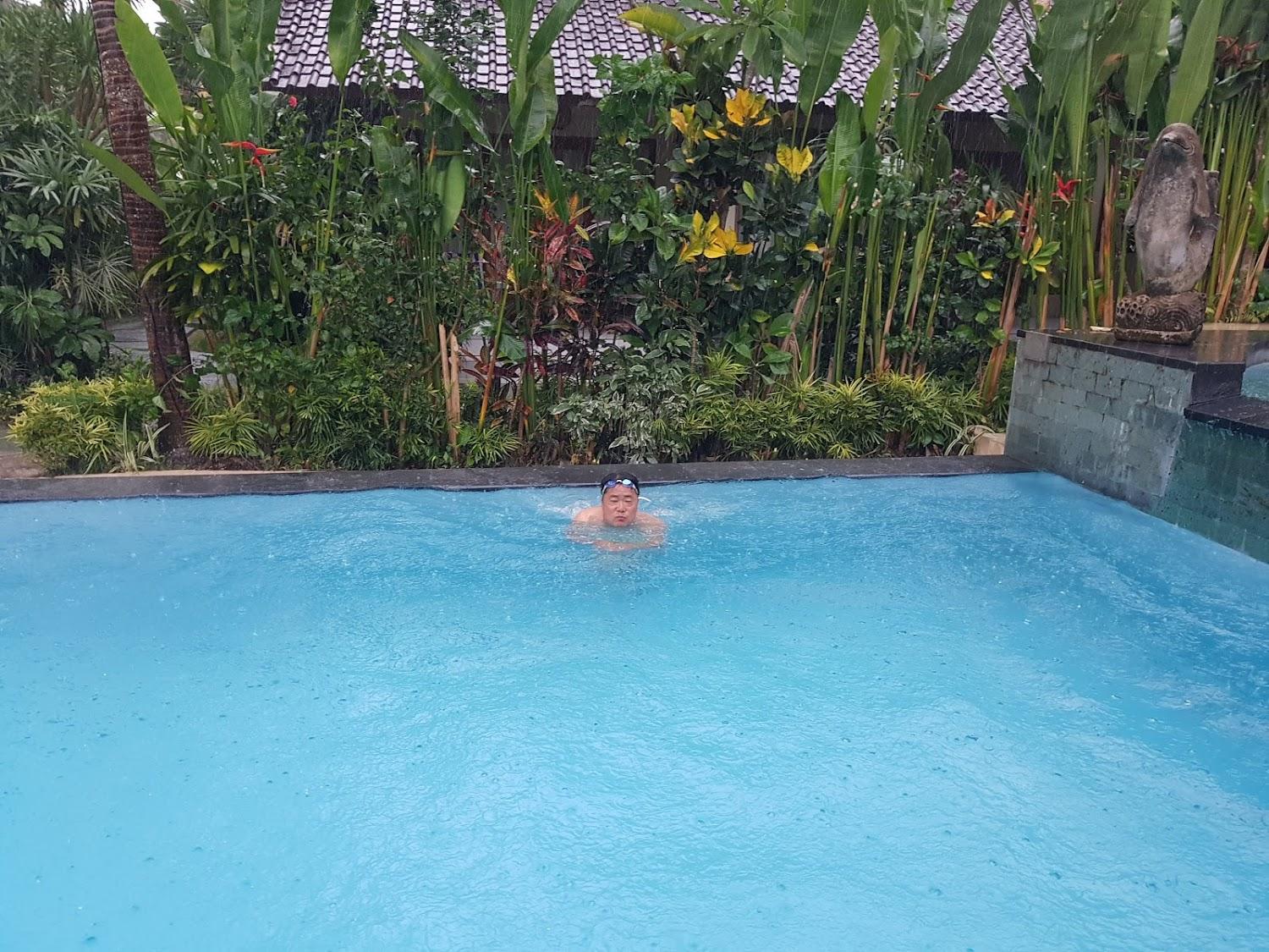 Cover Image for Bali Dream Ubud