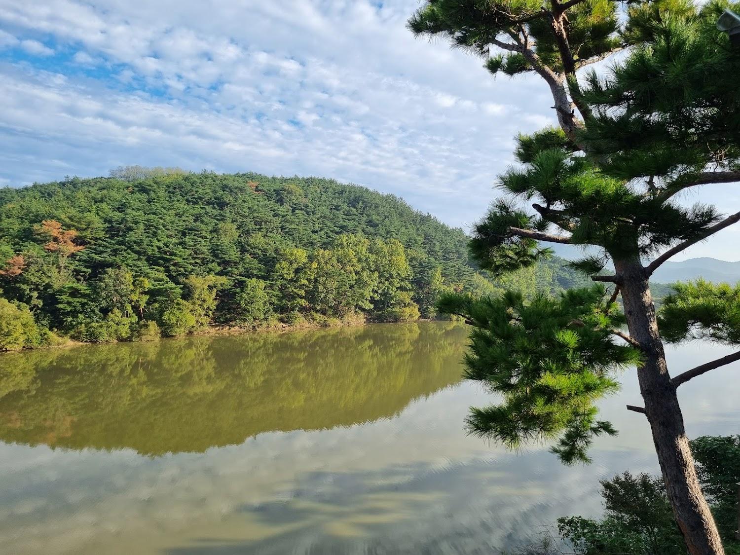Cover Image for 호반의왈츠펜션