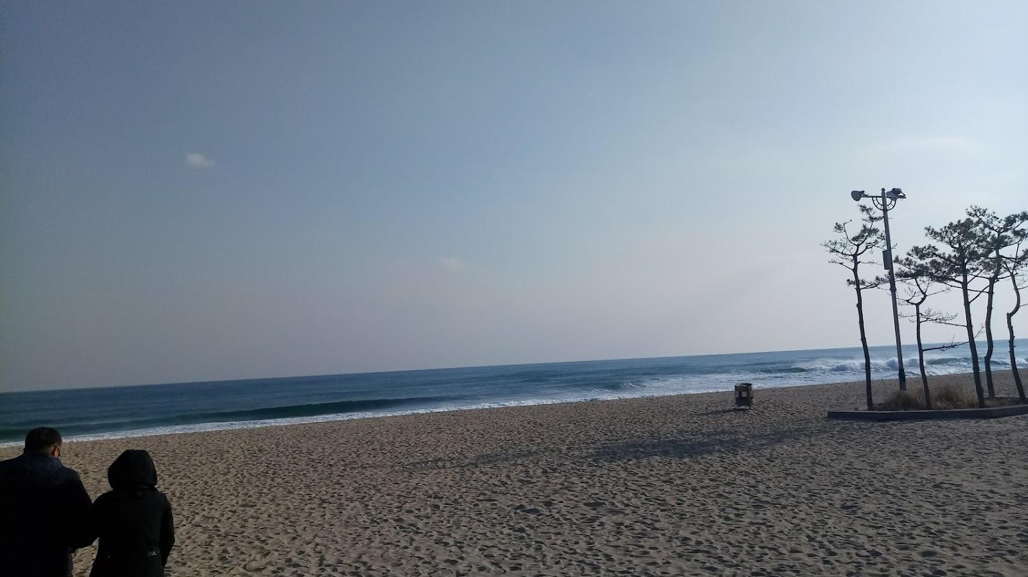 Cover Image for 낙산메리엘콘도