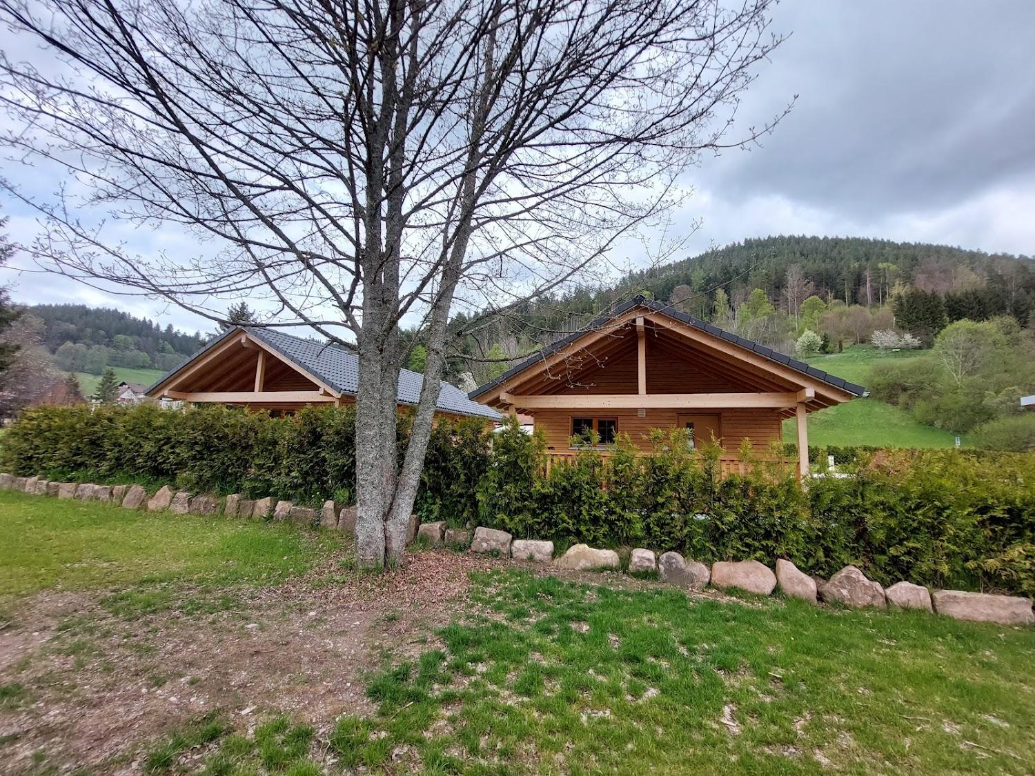 Cover Image for Natur-Camp Tannenfels