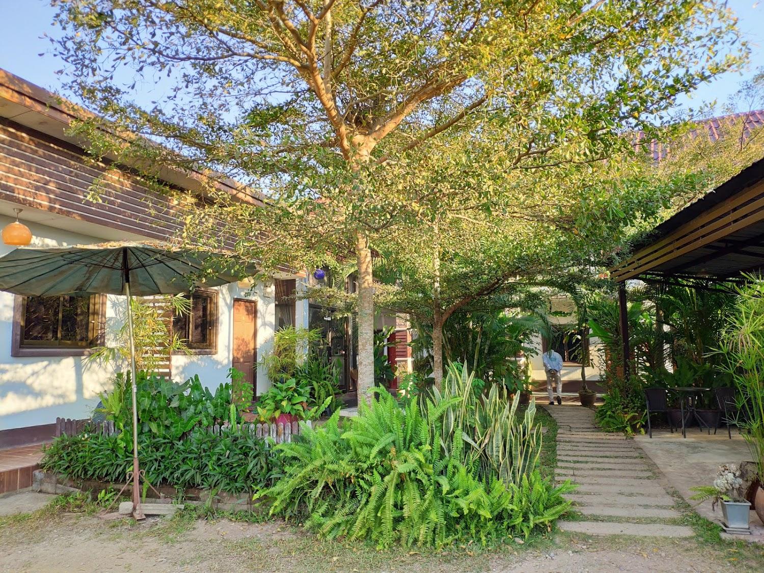 Cover Image for Daisy Inn