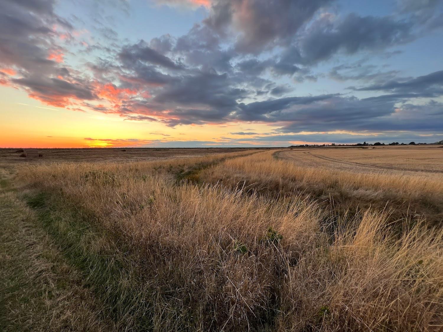 Cover Image for Wild Acre Cart Lodge
