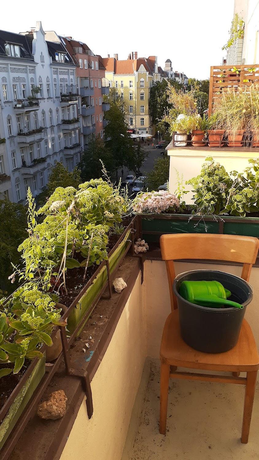 Cover Image for John's Cozy Little Jungle Hostel