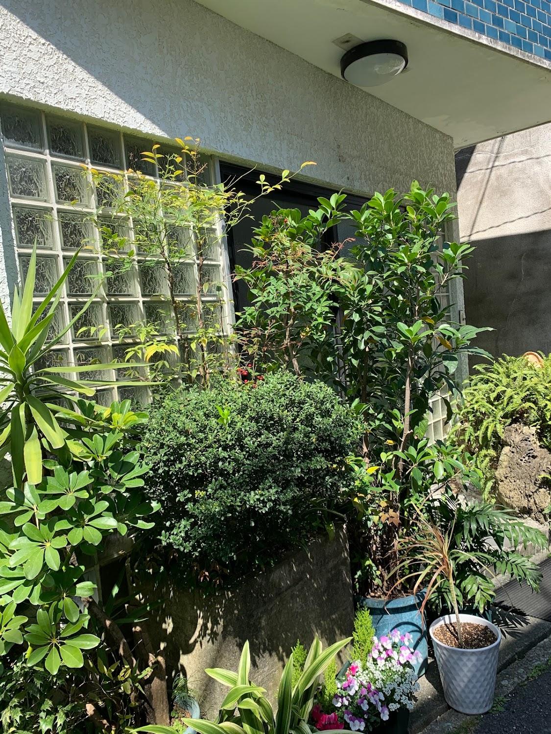 Cover Image for Kotobuki Inn