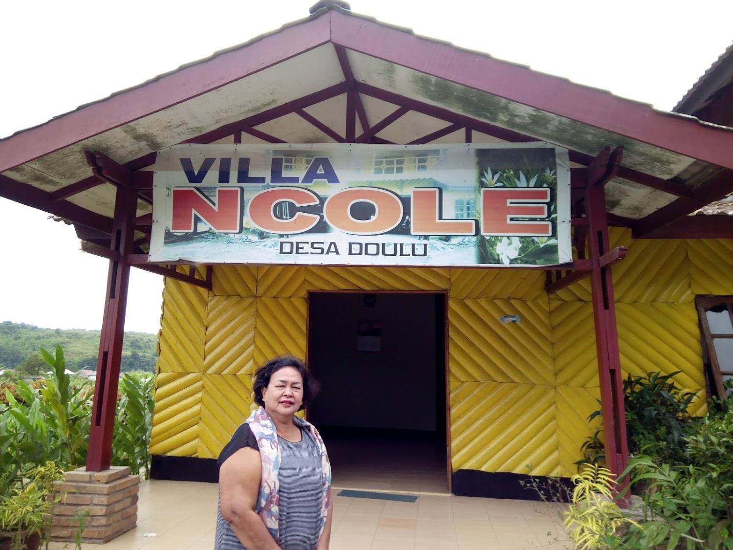 Cover Image for Villa Ncole