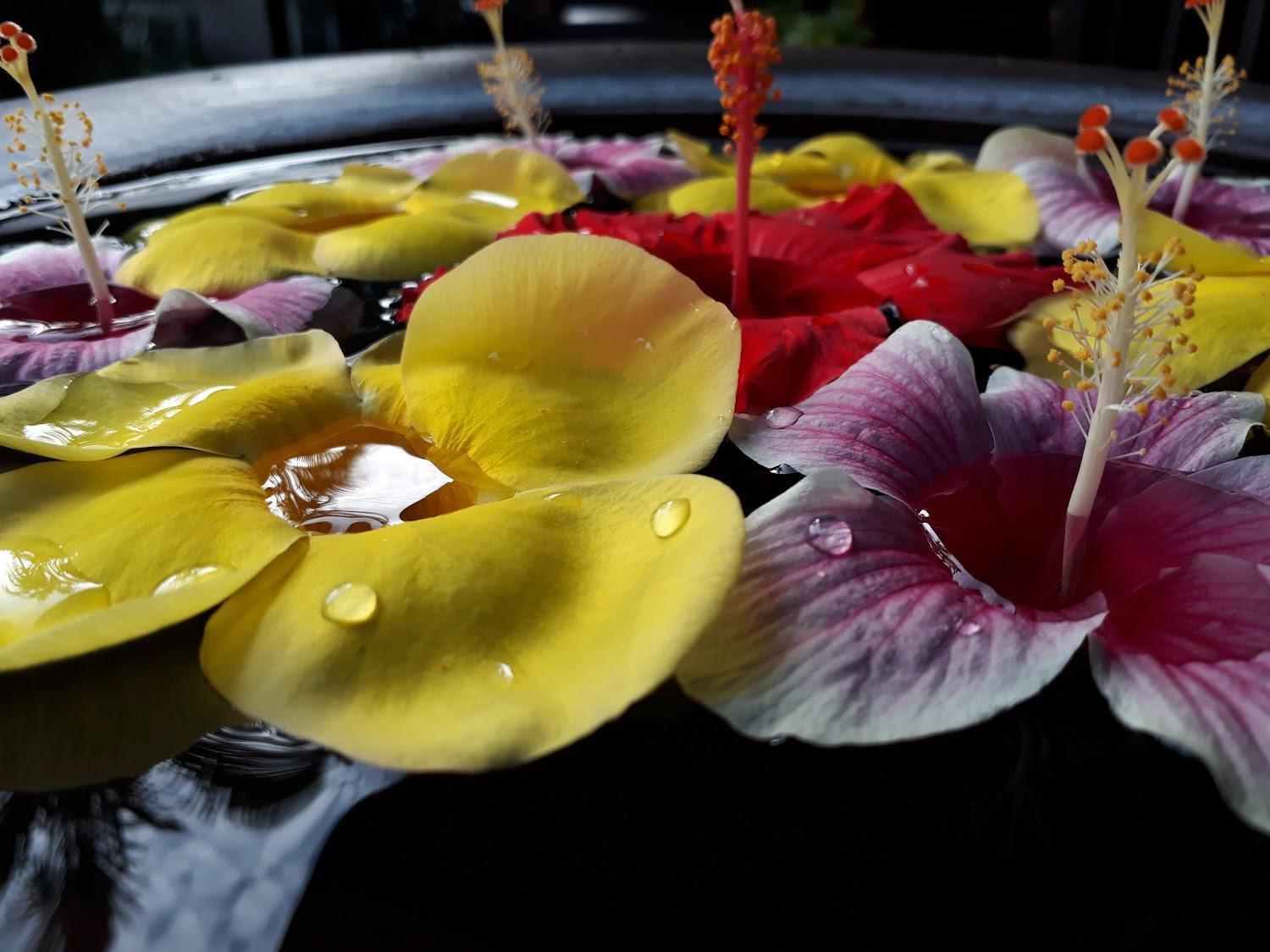 Cover Image for Hotel Ratih