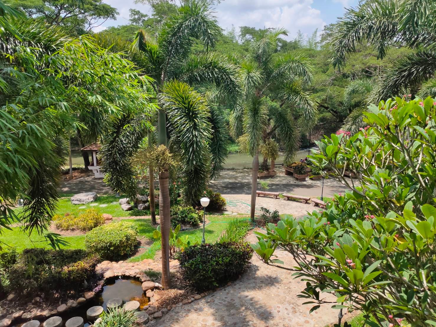 Cover Image for Bonsai Village Suanphung