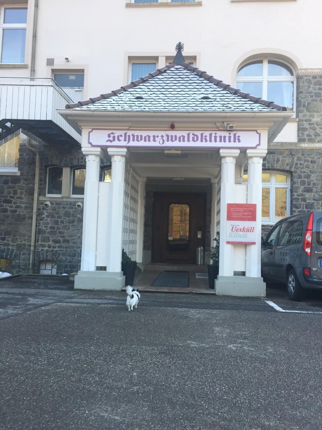Cover Image for Ferienwohnung Haus Zumholte