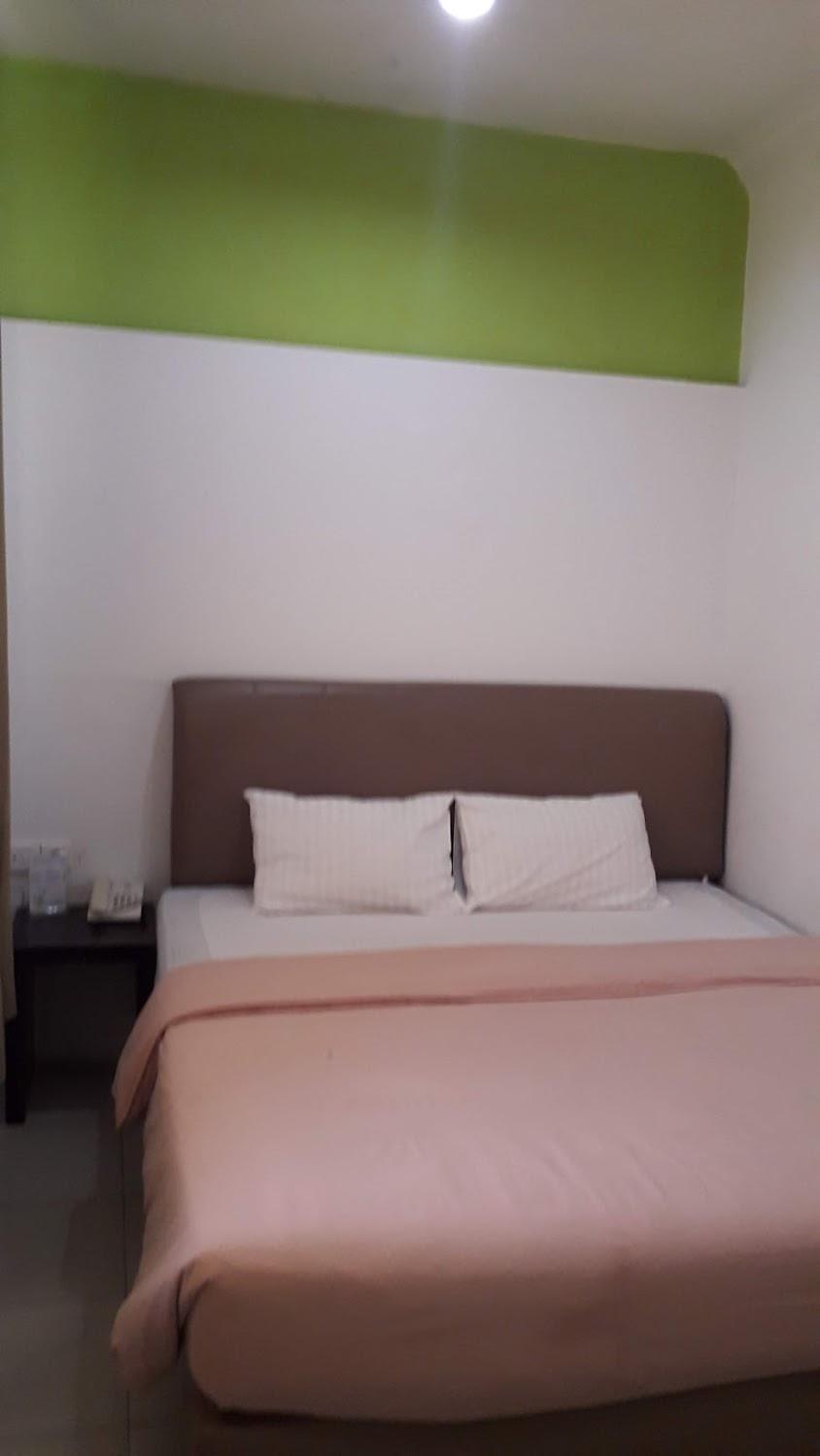 Cover Image for Green Hotel