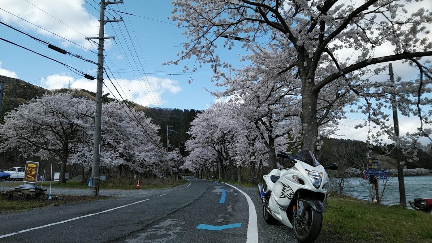 Cover Image for ログハウスペンションラダー