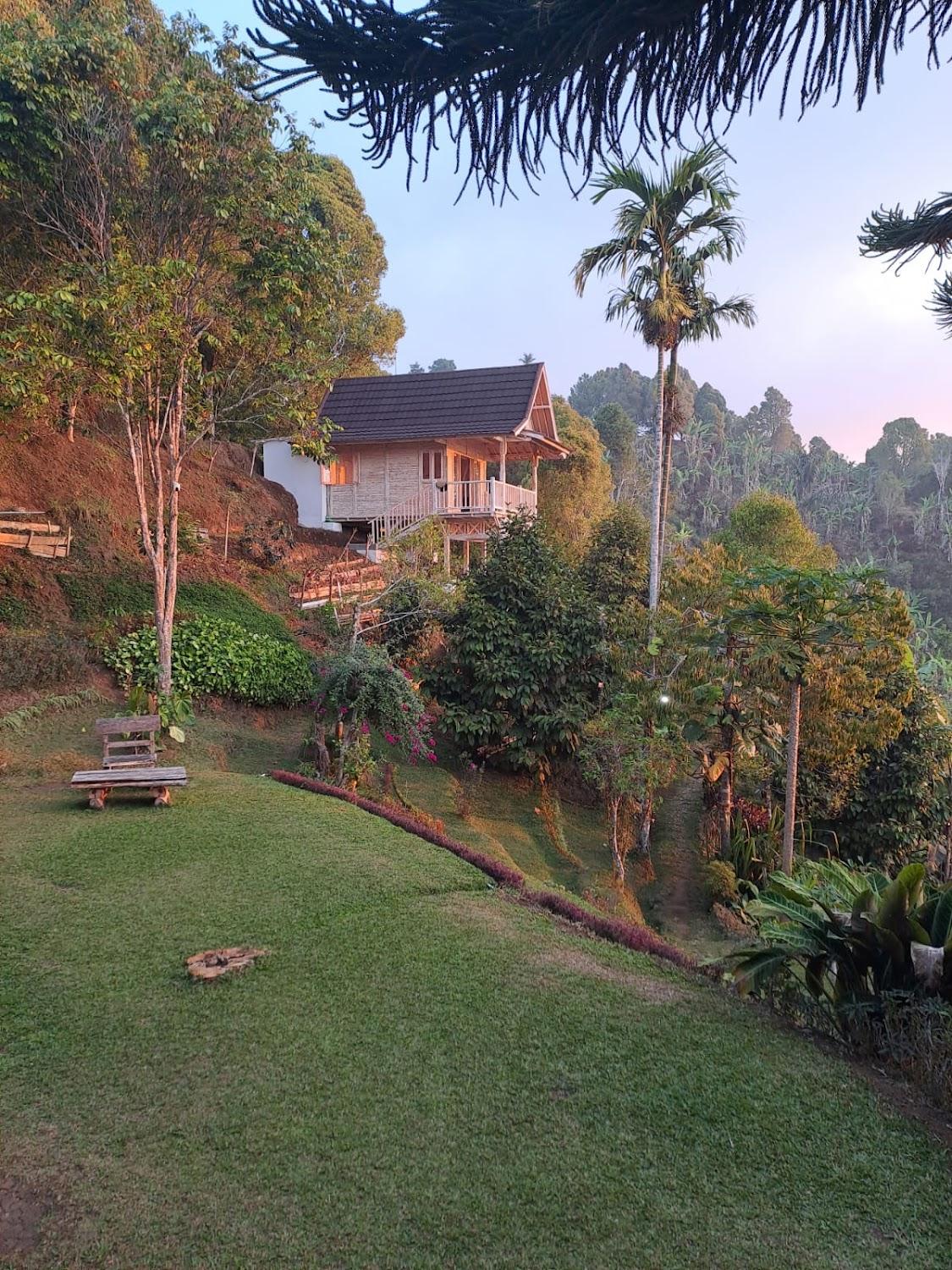 Cover Image for Ảnh At a glance