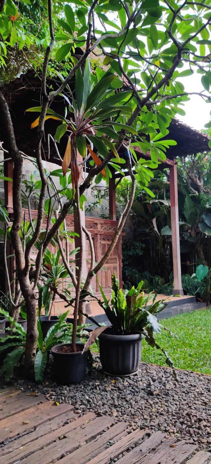 Cover Image for Rumah Satu Cinere