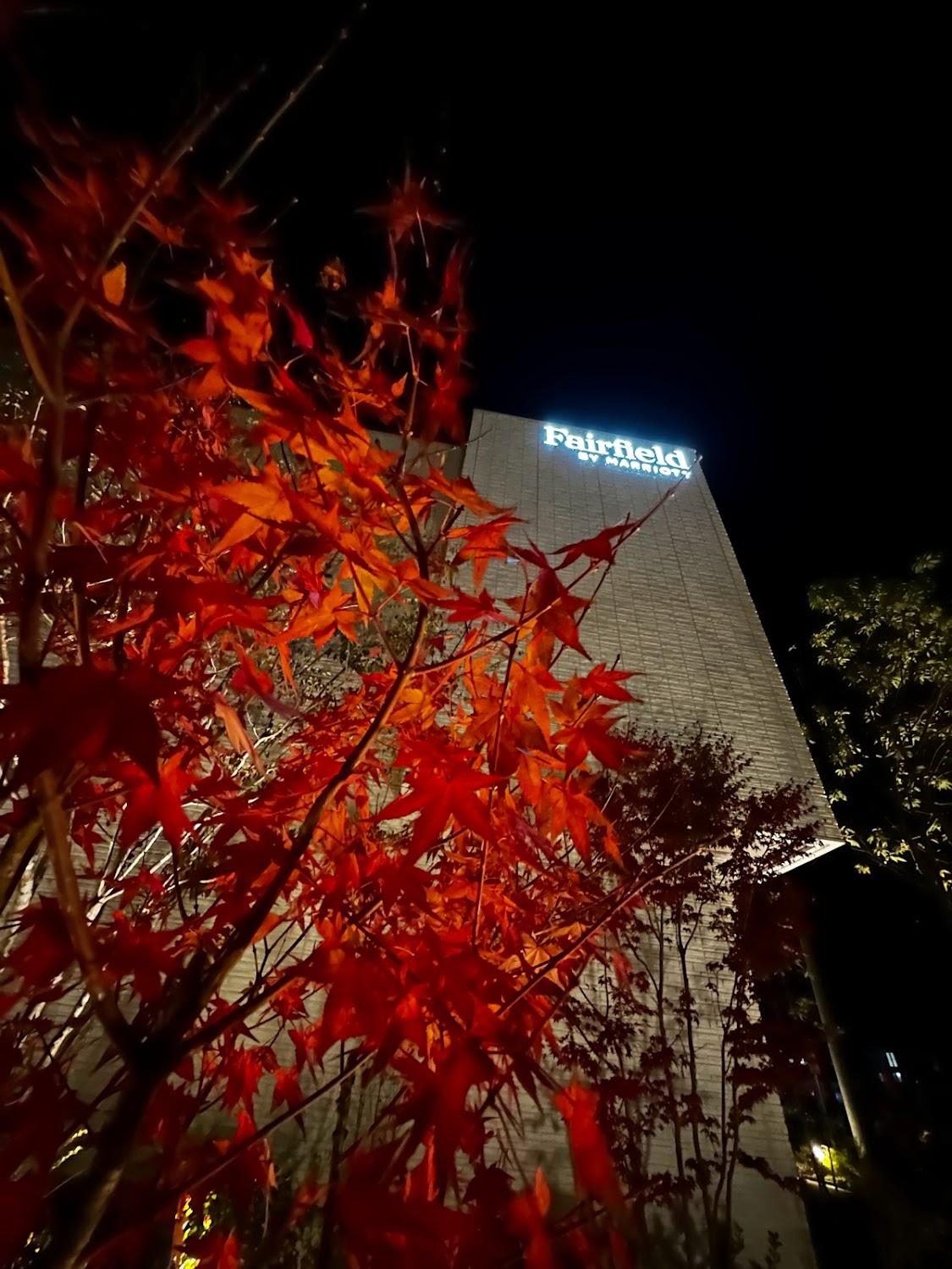 Cover Image for Fairfield by Marriott Okayama Tsuyama