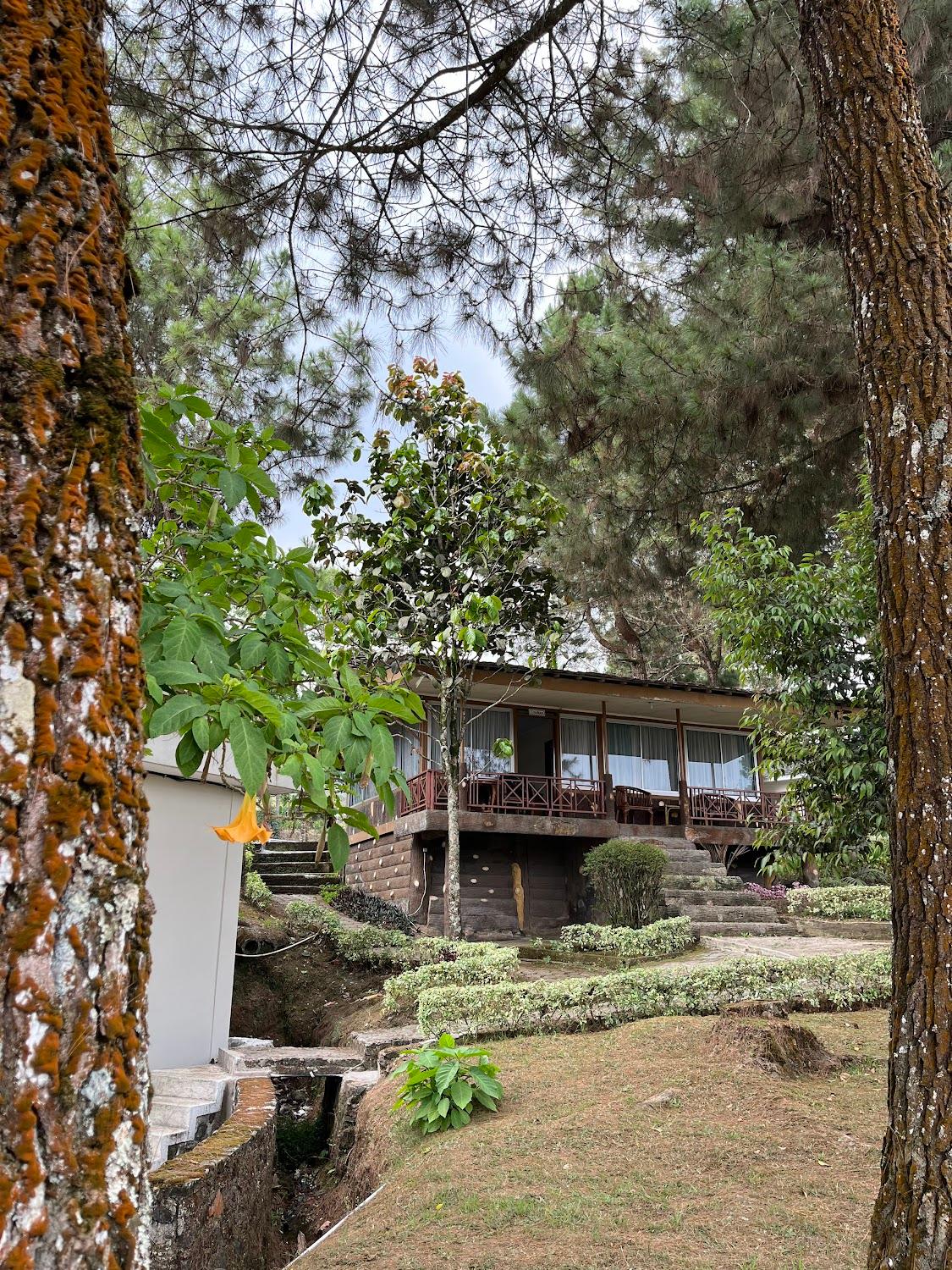 Cover Image for Tambi Tea Resort