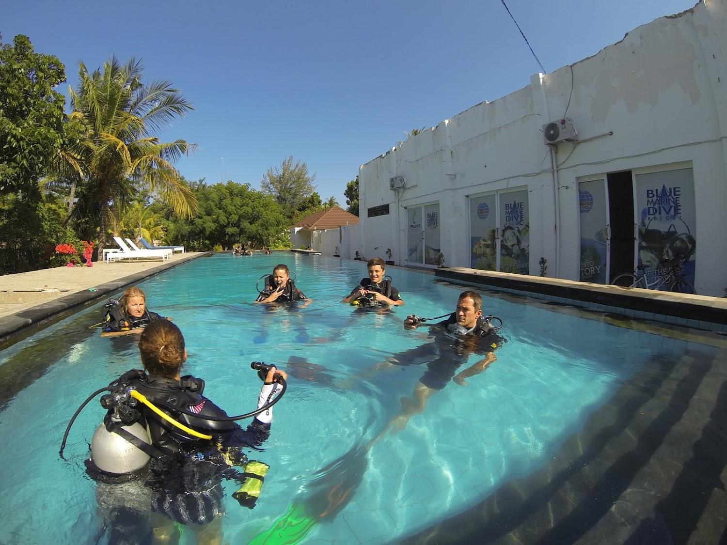 Cover Image for Blue Marine Dive Resort
