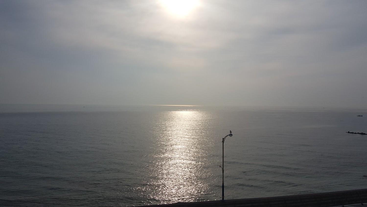 Cover Image for 그랜드비치모텔