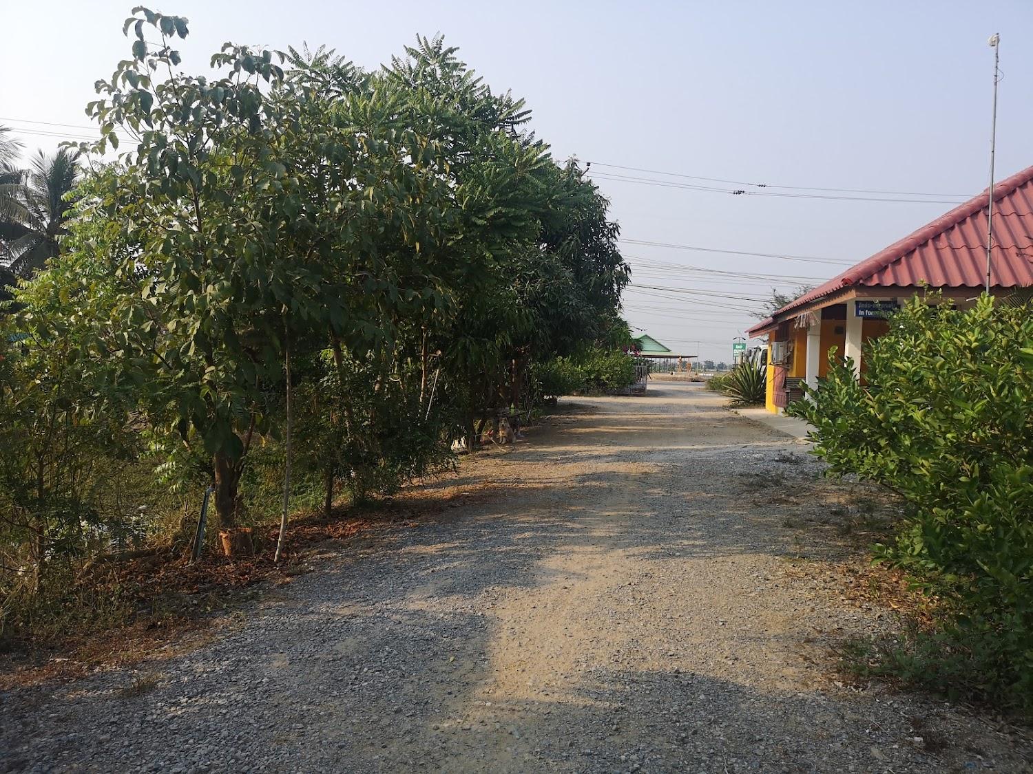 Cover Image for Baan Suan Manow