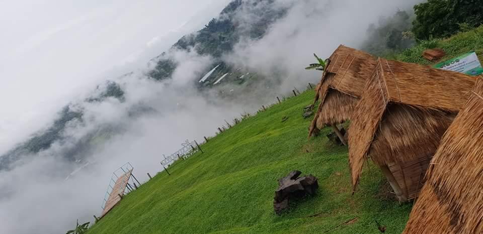 Cover Image for North Homestay