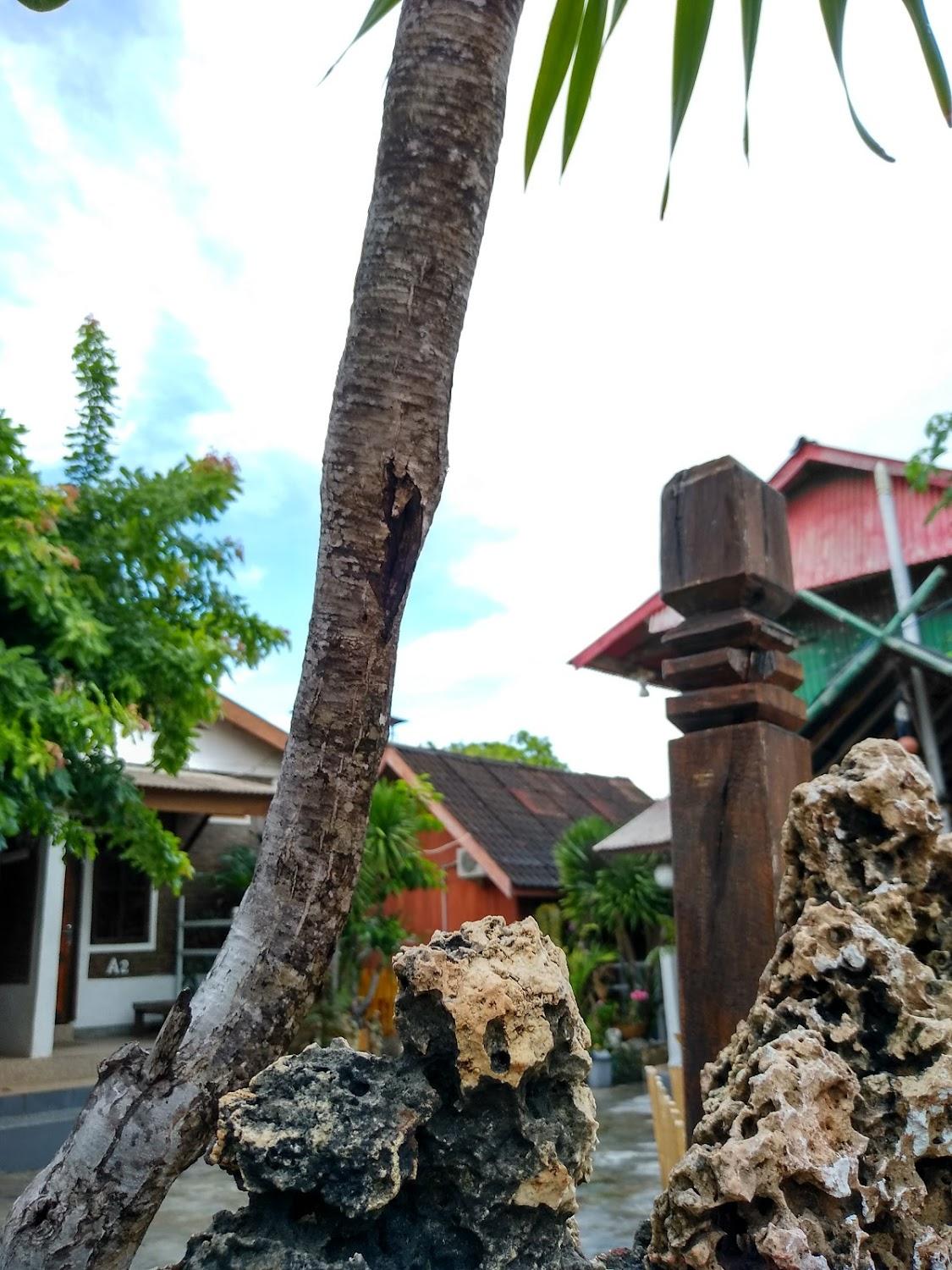 Cover Image for Rutepar Guest House