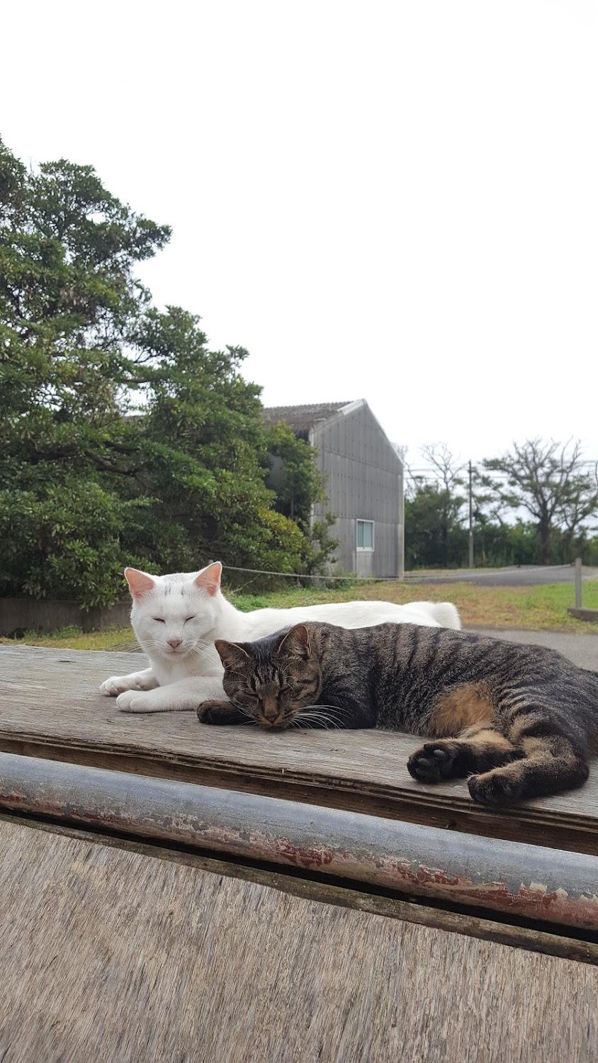 Cover Image for Guest House Miyoshi
